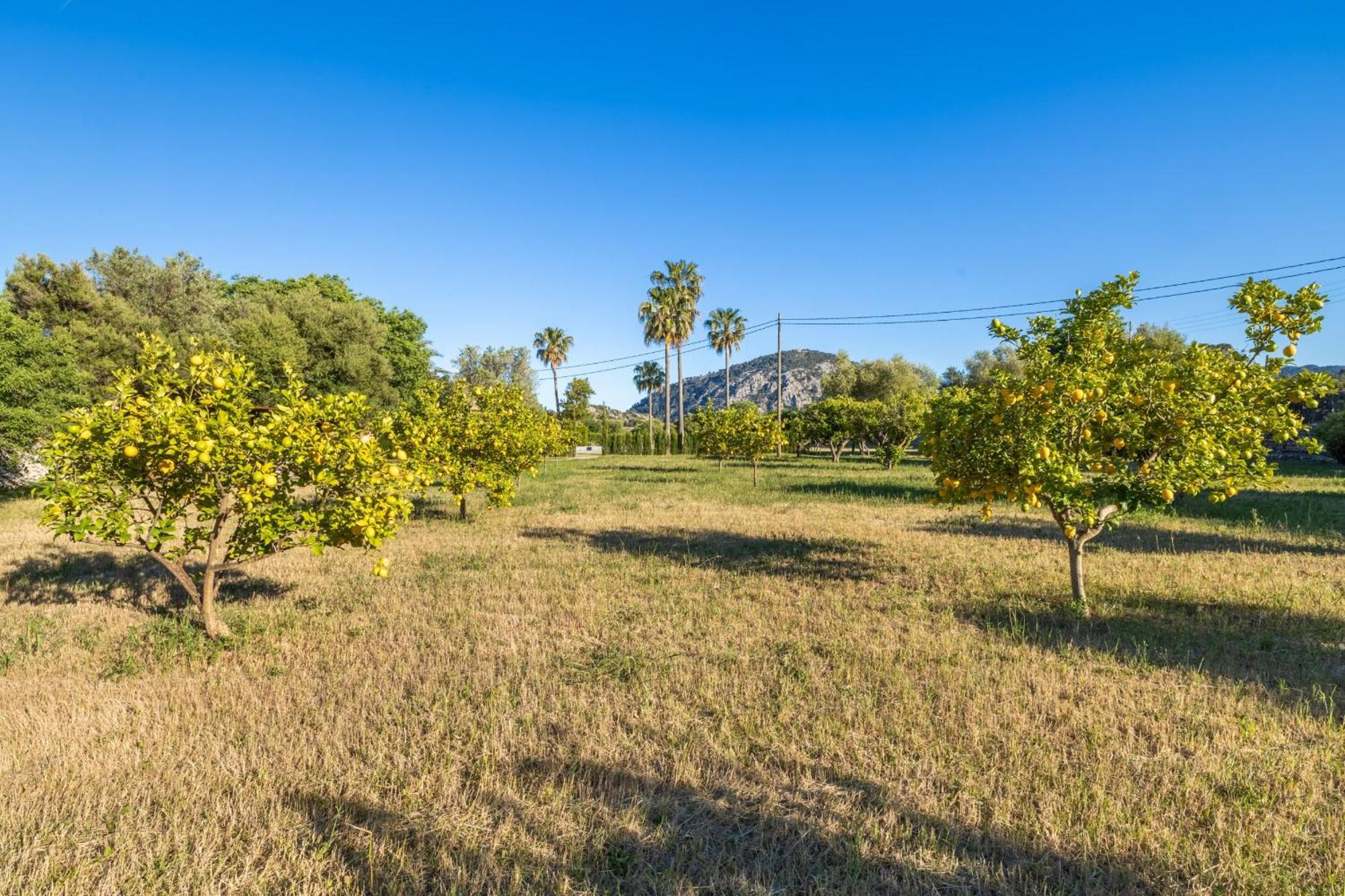 Corme Villa